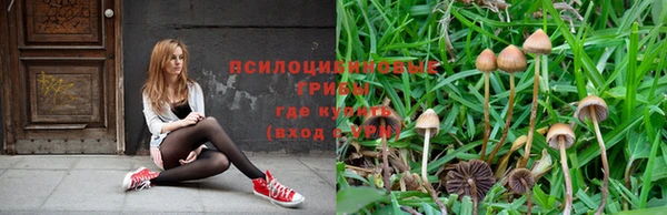 гашишное масло Алексин