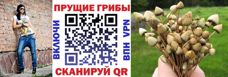 Галлюциногенные грибы Cubensis  Усолье-Сибирское 